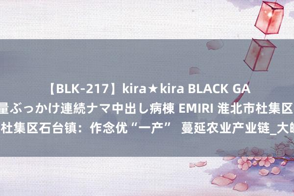 【BLK-217】kira★kira BLACK GAL黒ギャルご奉仕ナース 大量ぶっかけ連続ナマ中出し病棟 EMIRI 淮北市杜集区石台镇：作念优“一产”  蔓延农业产业链_大皖新闻 | 安徽网