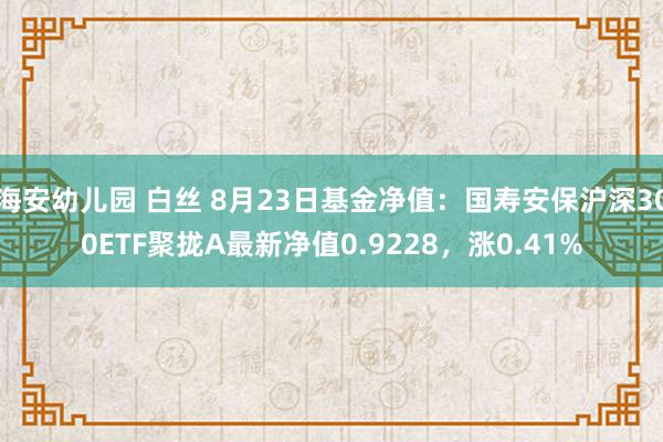 海安幼儿园 白丝 8月23日基金净值：国寿安保沪深300ETF聚拢A最新净值0.9228，涨0.41%