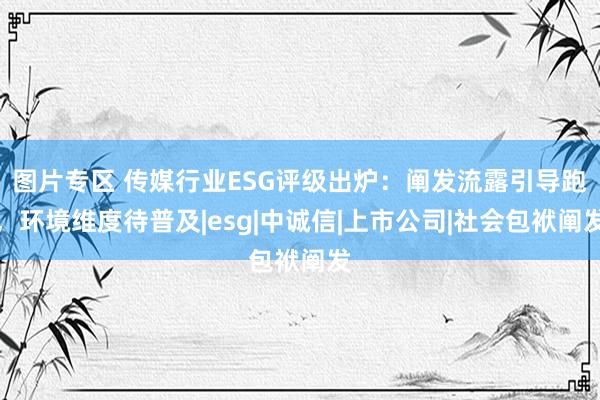 图片专区 传媒行业ESG评级出炉：阐发流露引导跑，环境维度待普及|esg|中诚信|上市公司|社会包袱阐发