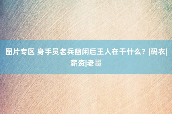 图片专区 身手员老兵幽闲后王人在干什么？|码农|薪资|老哥