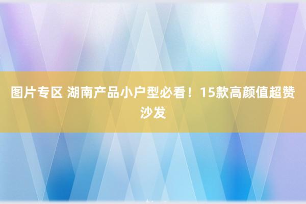 图片专区 湖南产品小户型必看！15款高颜值超赞沙发