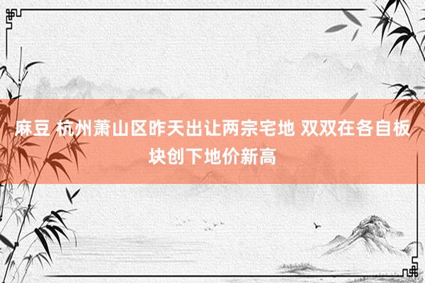 麻豆 杭州萧山区昨天出让两宗宅地 双双在各自板块创下地价新高