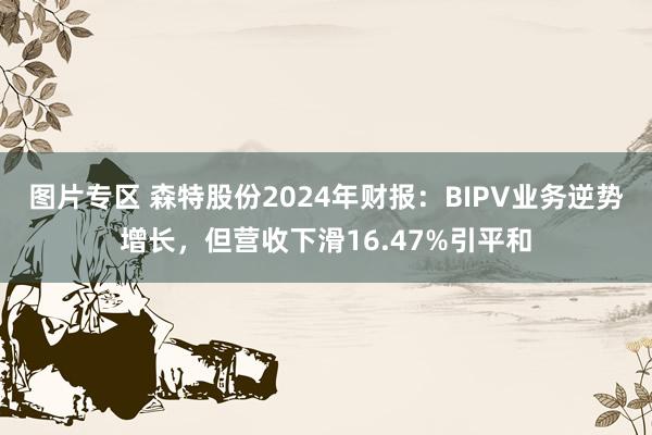 图片专区 森特股份2024年财报：BIPV业务逆势增长，但营收下滑16.47%引平和