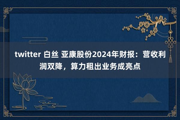 twitter 白丝 亚康股份2024年财报：营收利润双降，算力租出业务成亮点