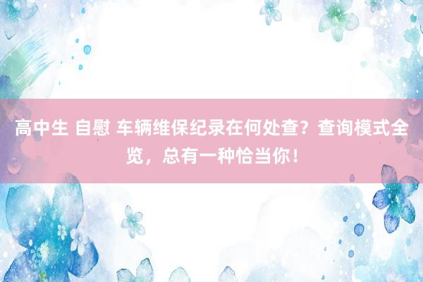 高中生 自慰 车辆维保纪录在何处查？查询模式全览，总有一种恰当你！