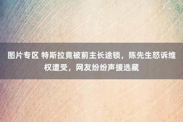 图片专区 特斯拉竟被前主长途锁，陈先生怒诉维权遭受，网友纷纷声援选藏