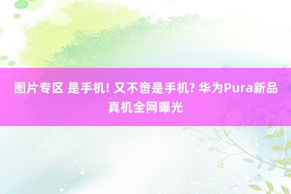 图片专区 是手机! 又不啻是手机? 华为Pura新品真机全网曝光