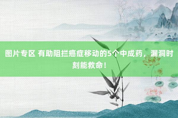 图片专区 有助阻拦癌症移动的5个中成药，漏洞时刻能救命！
