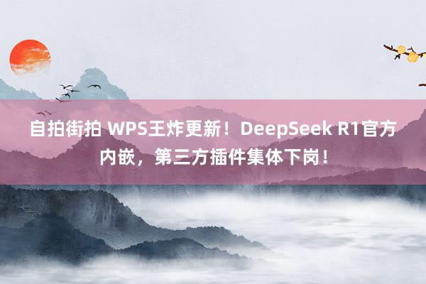 自拍街拍 WPS王炸更新！DeepSeek R1官方内嵌，第三方插件集体下岗！